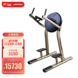 LifeFitness/力健 提腿练习器 镍金色