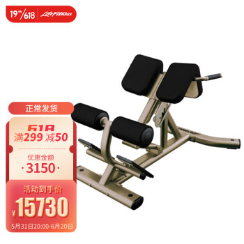 LifeFitness/力健 背部伸展练习器 镍金色
